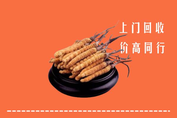 高价求购：芙蓉区回收散虫草