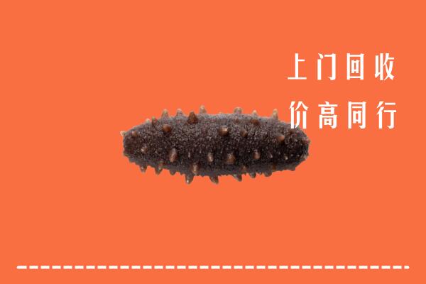 高价求购：芙蓉区回收海参