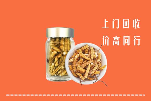 芙蓉区回收冬虫夏草