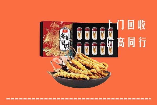 芙蓉区回收虫草